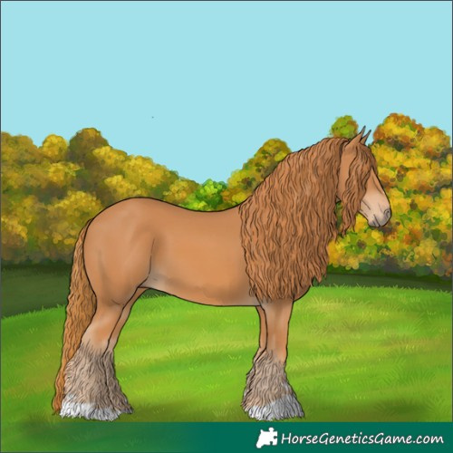 Horse Color:Chestnut 