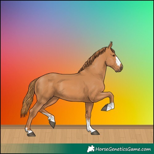 Horse Color:Chestnut 