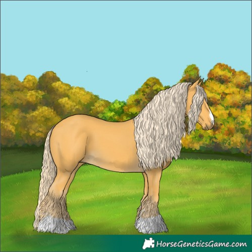 Horse Color:Palomino 