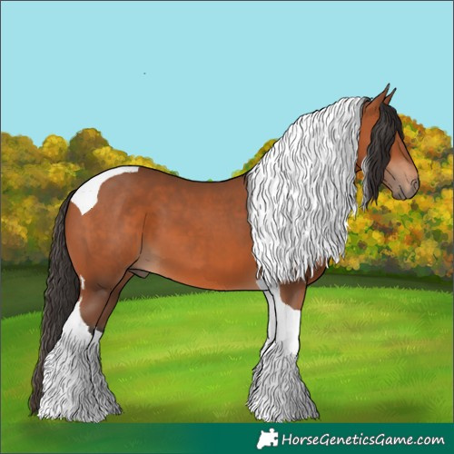 Horse Color:Bay Tobiano