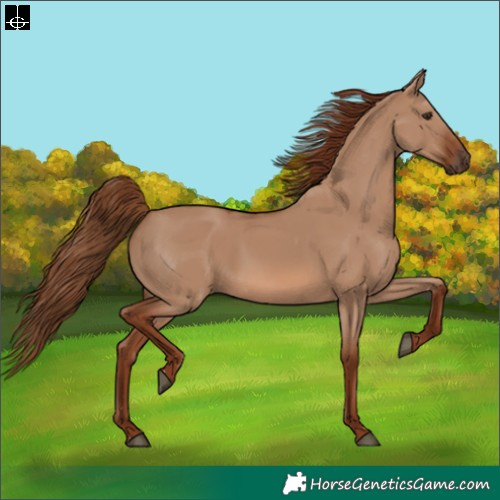 Horse Color:Red Dun