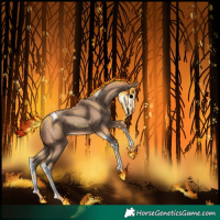 Horse Color:Sable Champagne Tobiano 