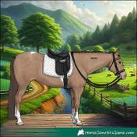 Horse Color:Classic Champagne Tobiano 