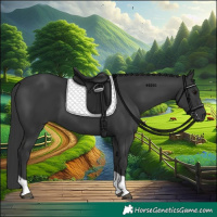 Horse Color:Black Tobiano 