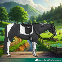 Horse Color:Black Tobiano 