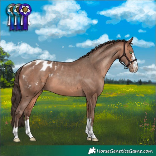 Horse Color:Amber Champagne Blanket