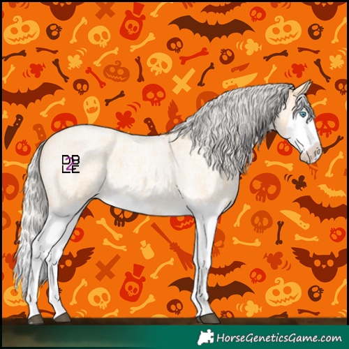 Horse Color:Silver Buckskin Roan Splash 