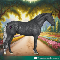Horse Color:Silver Black Chinchilla 
