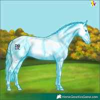 Horse Color:Thunderstruck Blue Roan Pearl Sabino Splash Appaloosa