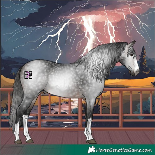Horse Color:Gray Bay 