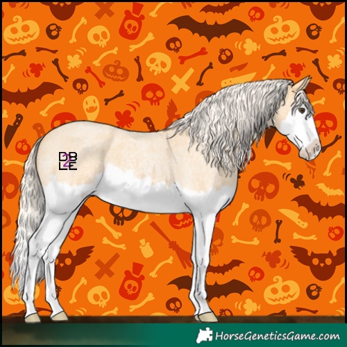 Horse Color:Palomino Roan Splash 