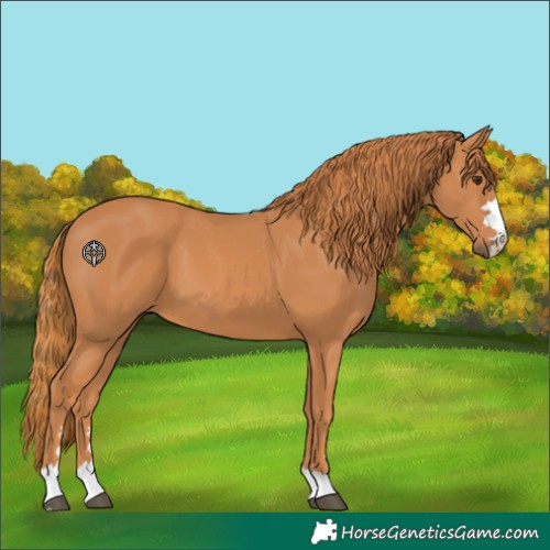 Horse Color:Unknown 