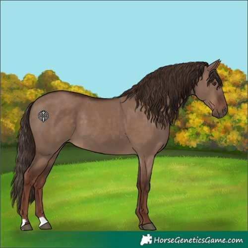 Horse Color:Unknown 
