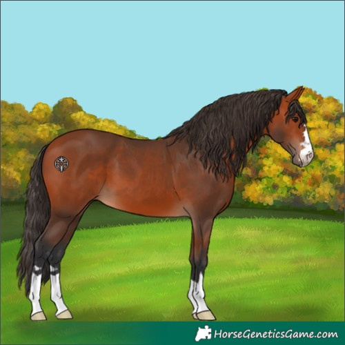Horse Color:Unknown 