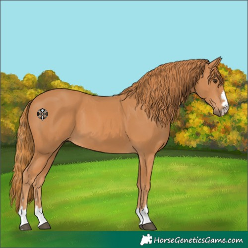 Horse Color:Unknown 