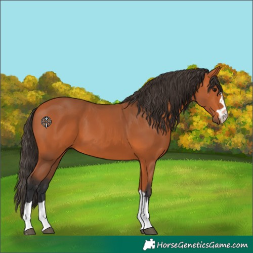 Horse Color:Unknown 