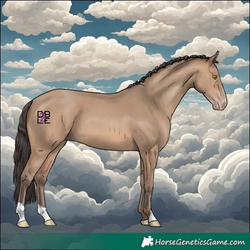 Horse Color:Amber Champagne
