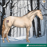 Horse Color:Amber Champagne Pearl 