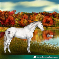 Horse Color:White Spotted Black Pearl Splash