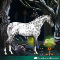 Horse Color:Midnight Blue Onyx Roan Near Leopard 