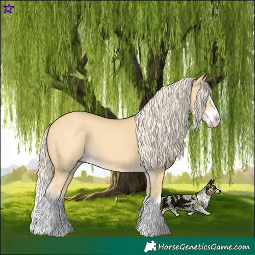 Horse Color:Palomino Dun Splash