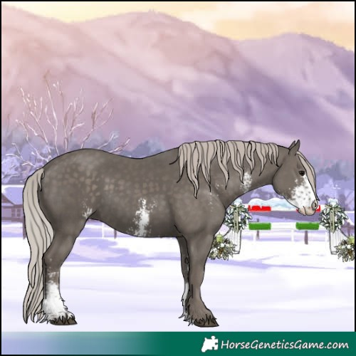 Horse Color:Silver Black Sabino 