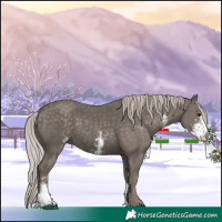 Horse Color:Silver Black Sabino 
