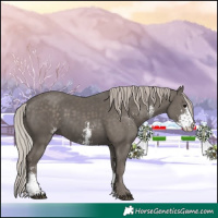 Horse Color:Silver Black Sabino 