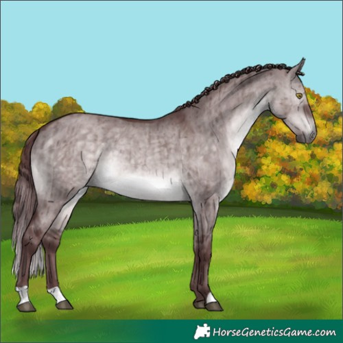 Horse Color:Platinum Chocolate Brown Dun Brindle 