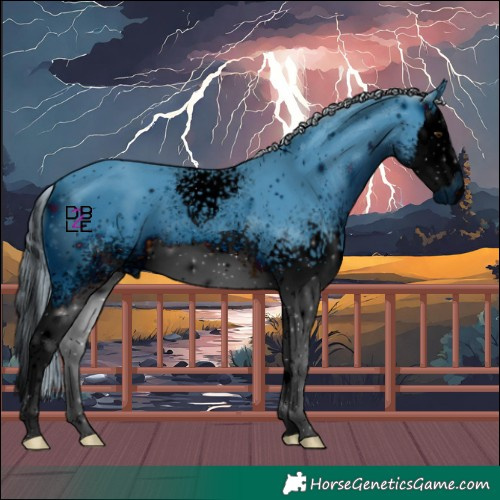 Horse Color:ERROR: UNKNOWN ANOMALY