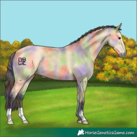 Horse Color:Nacre Buckskin 