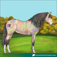 Horse Color:Nacre Buckskin