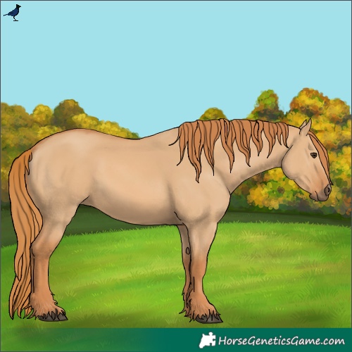 Horse Color:Red Dun 