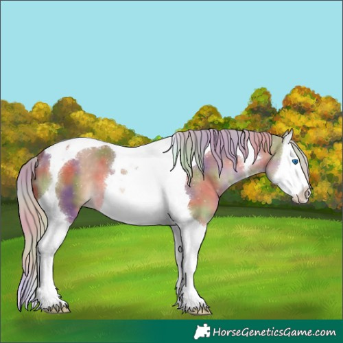 Horse Color:Nacre Silver Brown Dun Splash Tobiano 