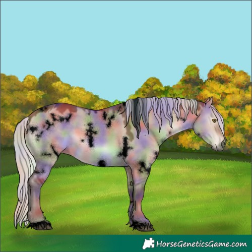 Horse Color:Void Nacre White Spotted Silver Brown Dun 