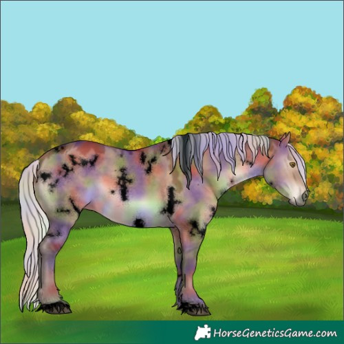 Horse Color:Void Nacre White Spotted Silver Brown Dun 