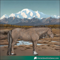 Horse Color:Silver Black and Classic Champagne