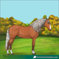 Horse Color:Silver Bay