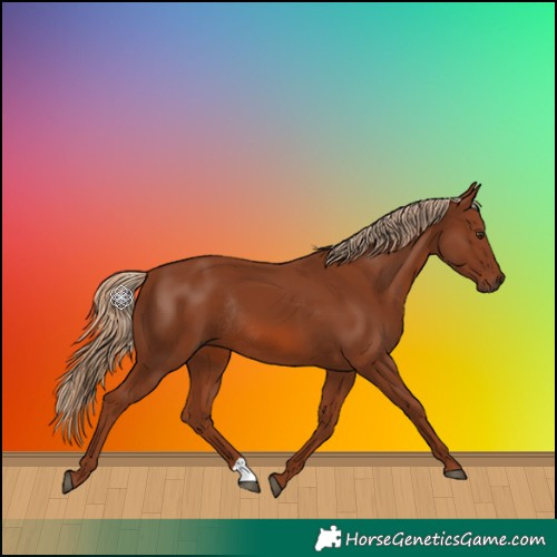 Horse Color:Chestnut Rabicano 