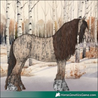 Horse Color:Grullo  and Classic Champagne Dun 