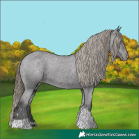 Horse Color:Smoky Black Tobiano Varnish Rabicano 