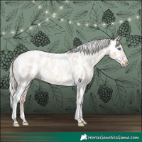 Horse Color:Silver Amber Champagne Roan Dun Splash Tobiano Frame Appaloosa Rabicano 
