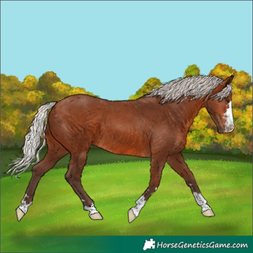 Horse Color:Silver Brown 