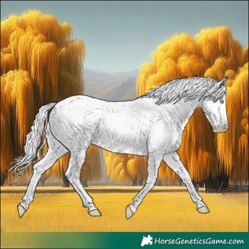 Horse Color:Silver Amber Champagne Roan Dun Splash Tobiano Frame Leopard Rabicano 