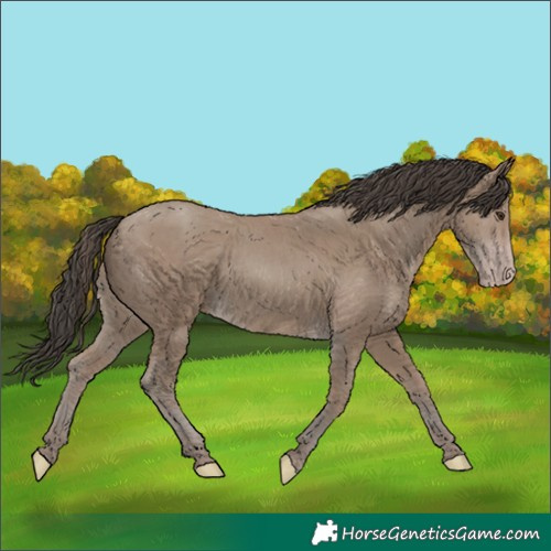 Horse Color:Classic Champagne 