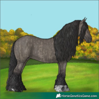 Horse Color:Grullo  and Smoky Grullo 