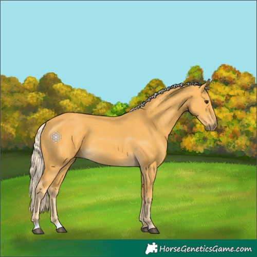 Horse Color:Palomino