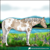 Horse Color:Gray White Spotted Silver Buckskin Pearl Dun Tobiano Rabicano 