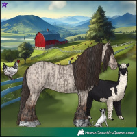 Horse Color:Grullo and Classic Champagne Dun