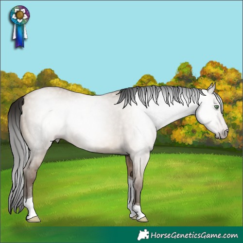 Horse Color:Gray Sable Champagne Dun Tobiano 